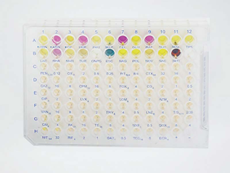 Scenker Microbial ID Kit