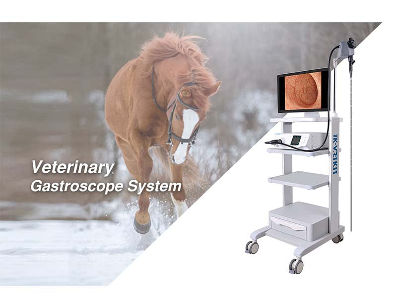 8. Veterinary Gastroscope System